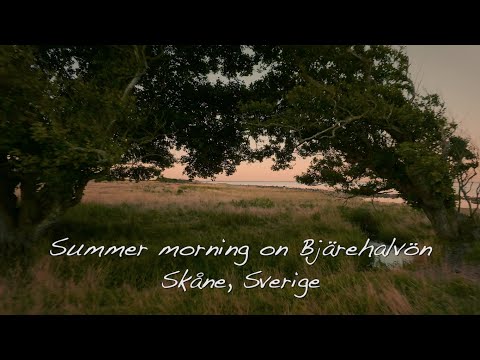 Rise and shine! - Bjærehalvön, Skåne, South Sweden