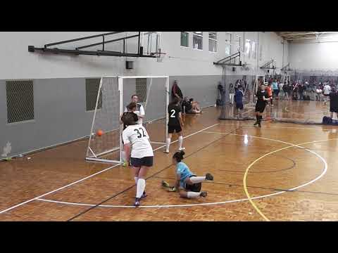 2017 Girls U18s Boomerangs fs NSW State Titles highlights