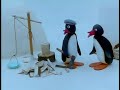 060 Pingu And The Mother Bird Avi QAWp7WPF0LQ Nomusic
