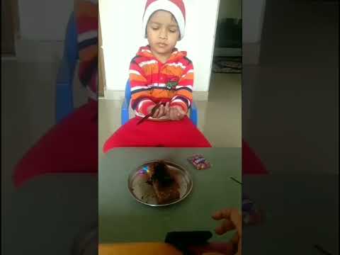 Making cake for Christmas celebration 2021