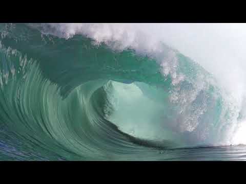 Mojoman - Seabed Antiques