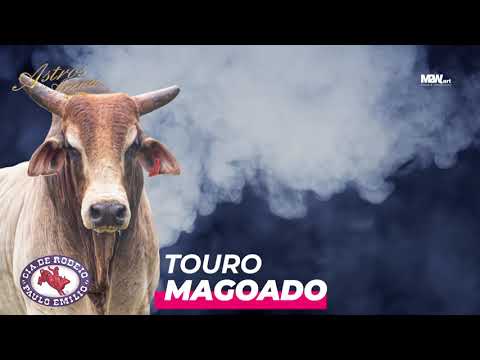 Touro Magoado da Cia. Paulo Emilio