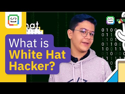 What is White Hat Hacker?