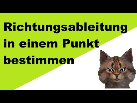 Richtungsableitung in einem Punkt bestimmen