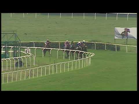 rm 20191112 01 p shulich