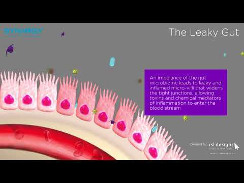 Animation Leaky Gut
