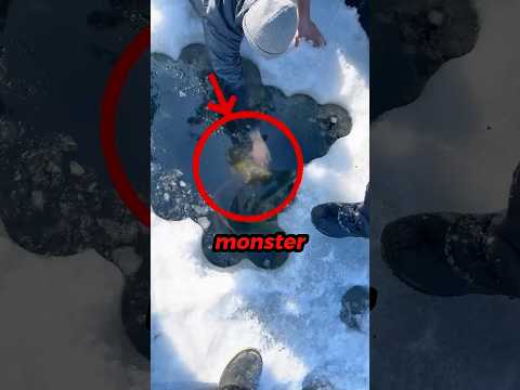 He Thought It Was A Fish... 💀 #fishing