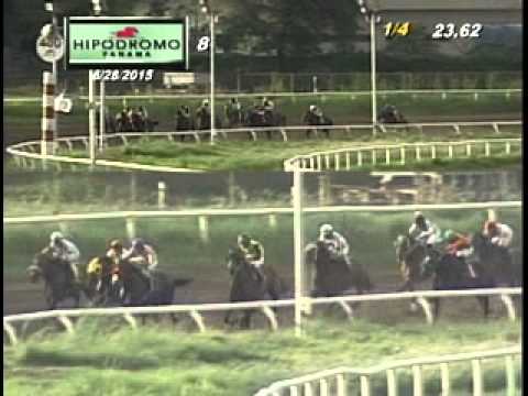 8VA CARRERA DOMINGO 28 DE JUNIO 2015 HPR