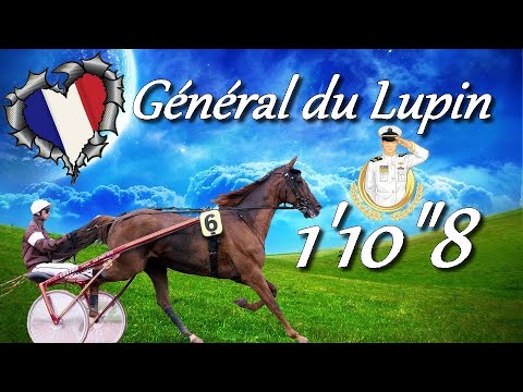 HOMMAGE A GÉNÉRAL DU LUPIN