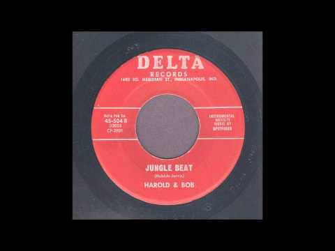 Harold & Bob & The Spitfires - Jungle Beat - Shaker Exotica 45