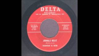 Harold & Bob & The Spitfires - Jungle Beat - Shaker Exotica 45