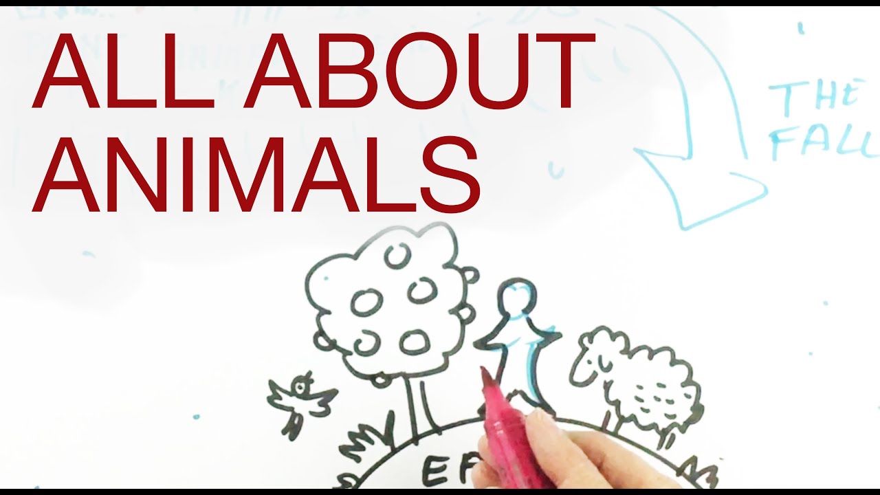 ALL ABOUT ANIMALS explained by Hans Wilhelm