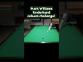 Mark Williams Underhand colours