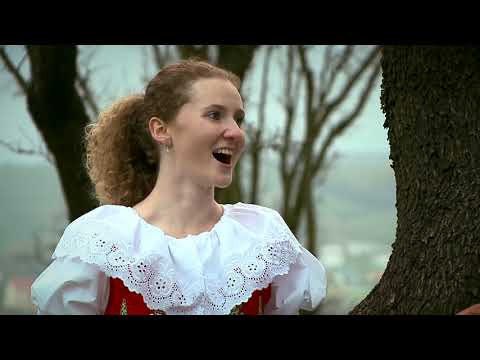 VONIČKA V-BAND - Za kovárnou