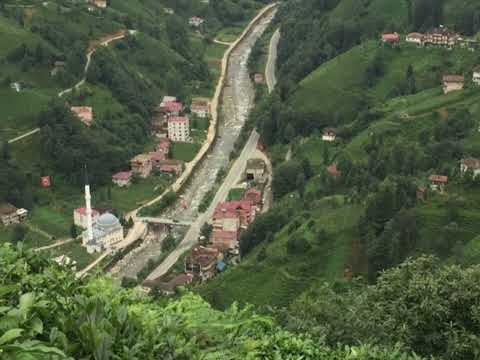 Rize Horon Potpori