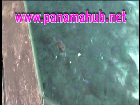 Pacific-Ocean beaches in Panama: Coiba Island Panama
