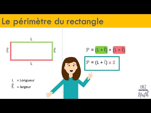 Le périmètre du rectangle