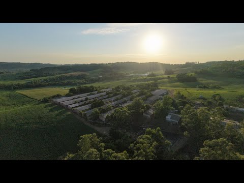 Granja Mielke e Brand - Vila Pinheiro Machado - São Paulo das Missões/RS