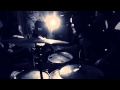Birds In Row - Cages 