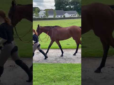 Video 3