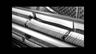 Max Richter - Horizon Variations