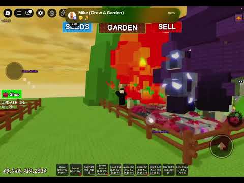 GIANT DURIAN (431.15 KGS)