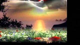 O silêncio - Nini Rosso & Dalida