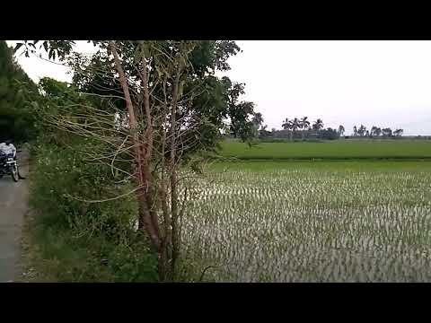 ad.27 agriculture land sale in ecr kadapakkam 9791186795