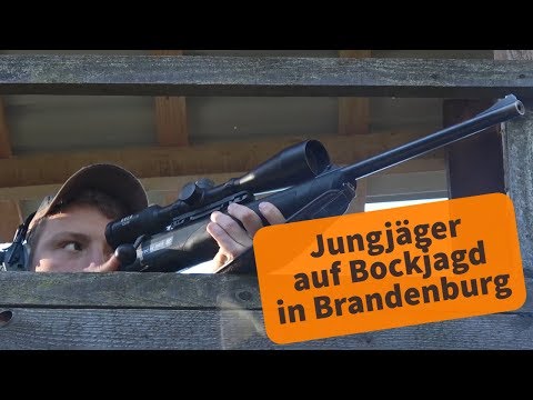 Roe deer hunting in Brandenburg: Young hunters bag the first roe deer!