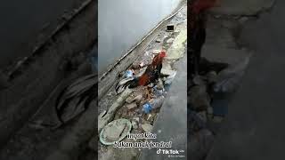 Download lagu story wa ayam mp3 Download lagu story wa ayam mp3