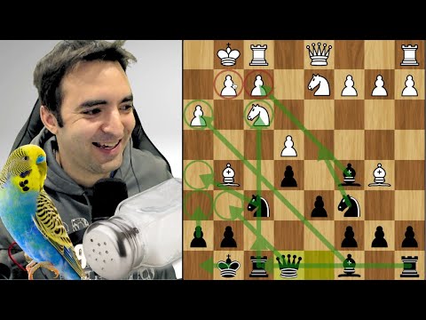 Instructive Rapid Chess | A Different Opening Every Game