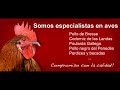 Pollería Hermanos Gómez: la Navidad pide aves