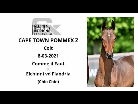 Cape Town Pommex Z