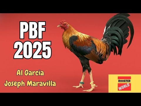 𝐏𝐁𝐅 𝟐𝟎𝟐𝟓 | 𝐀𝐥 𝐆𝐚𝐫𝐜𝐢𝐚 | 𝐉𝐨𝐬𝐞𝐩𝐡 𝐌𝐚𝐫𝐚𝐯𝐢𝐥𝐥𝐚