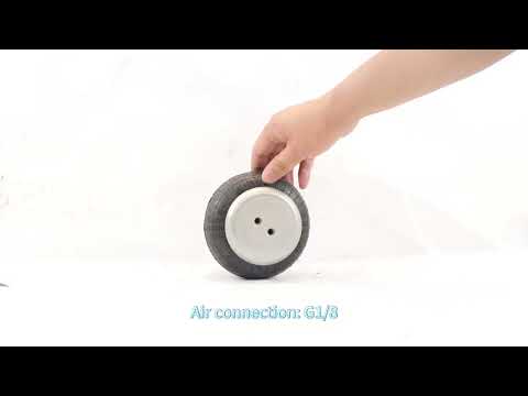 SP1B04 Phoenix Air Spring Weforma WBE100-E1 FS40-6 Contitech Single Air Actuator
