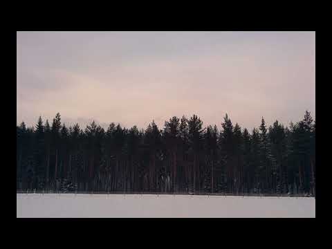 Daniel Blomqvist - Natural Proportions