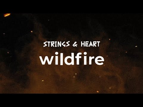 Strings And Heart -  wildfire [Visualizer]