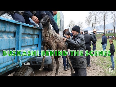 Headless Goat Polo: Behind The Scenes