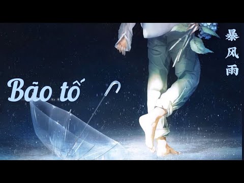 [Engsub/Vietsub] 暴风雨 (Bao Feng Yu) || Bão tố || Storm - 刘思达 (Liu Si Da - Lưu Tư Đạt) - REMIX