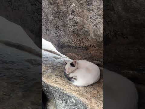 Gar e Hira | cave Hira ❤️🕋