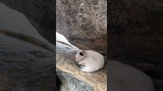 Download lagu Gar e Hira | cave Hira ❤️🕋 mp3