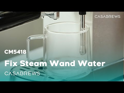 CM5418: How to Fix the Issue of Too Much Water from the Steam Wand
