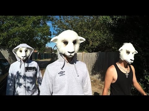 Idal - Ponieśli i wilka  prod. Czaha