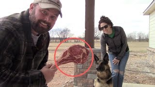 German Shepherd Saved My Family From Attack &amp; Gets Rewarded With BIG STEAK!!