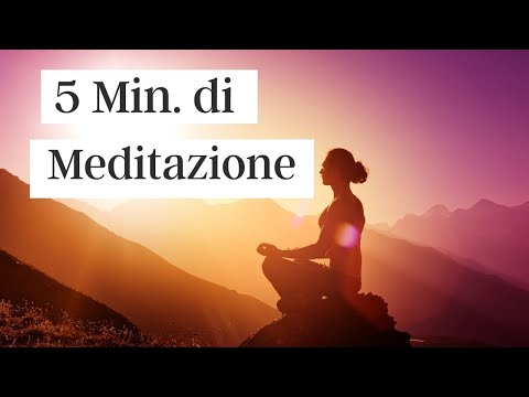 5-Minute Meditation | Quick Guided Meditation