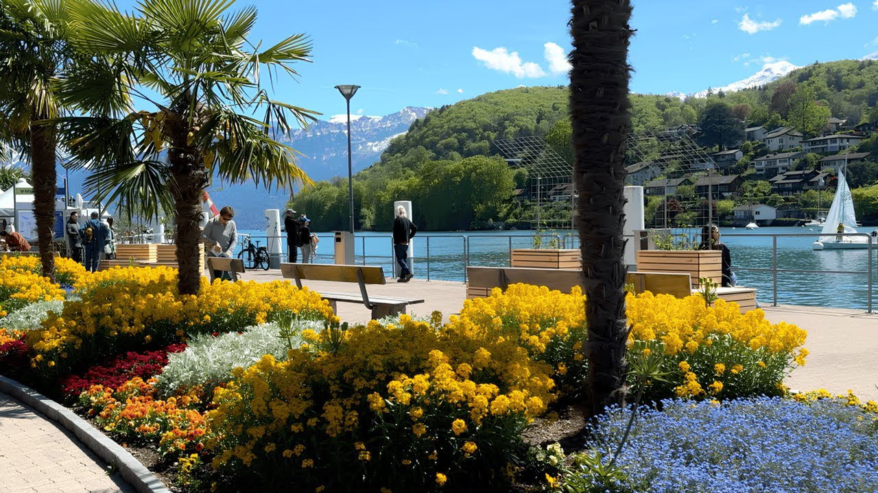 Embark on a walking tour along the picturesque Spiez Promenade.
