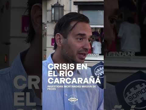 🐟 CRISIS EN EL RÍO CARCARAÑÁ: INVESTIGAN MORTANDAD MASIVA DE PECES