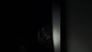 Download lagu KUNTILANAK NGINTIP DI JENDELA mp3