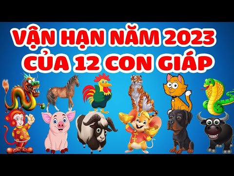 TỬ VI 12 CON GIÁP NĂM 2023