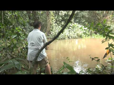 Real Adventure with Tomahawk "Amazonia": Part 1